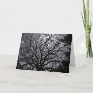 Kosmischer Baum - Sternhaufen Feiertagskarte