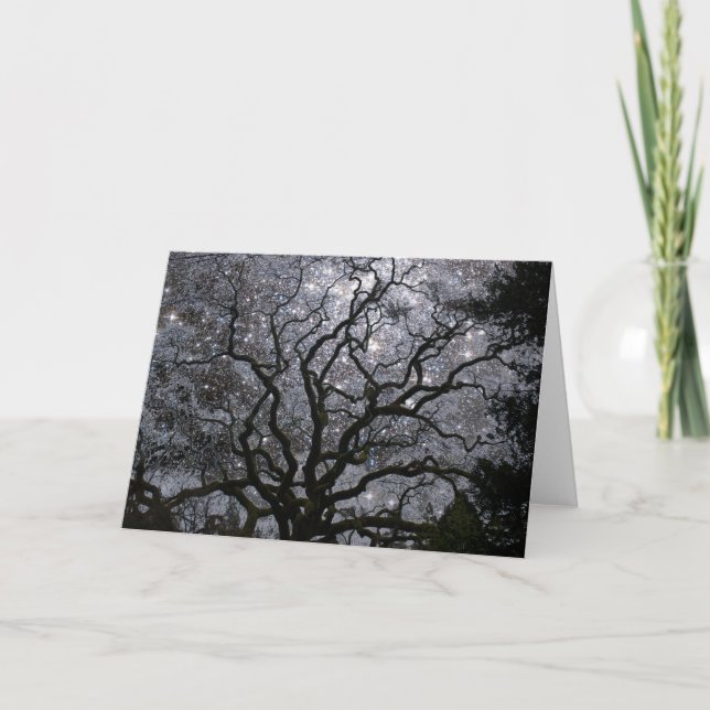 Kosmischer Baum - Sternhaufen Feiertagskarte (Vorderseite)