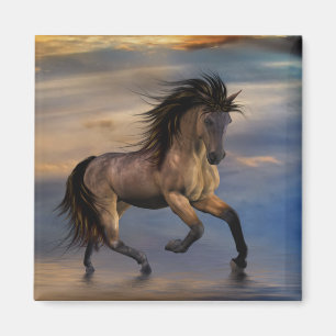 Kosmischer Hengst Magnet