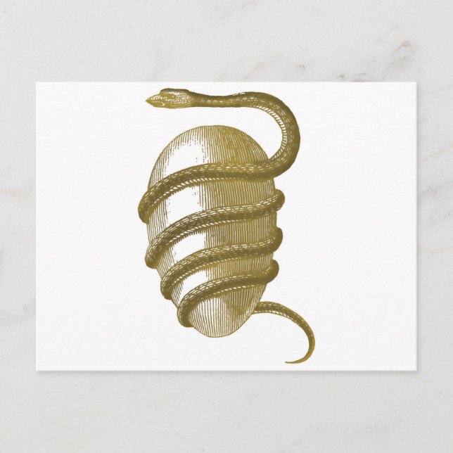 Kosmisches Ei Postkarte (Vorderseite)