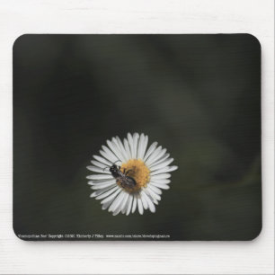 Kosmopolitische Biene Mousepad