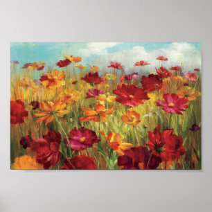 Kosmos auf dem Gebiet Poster