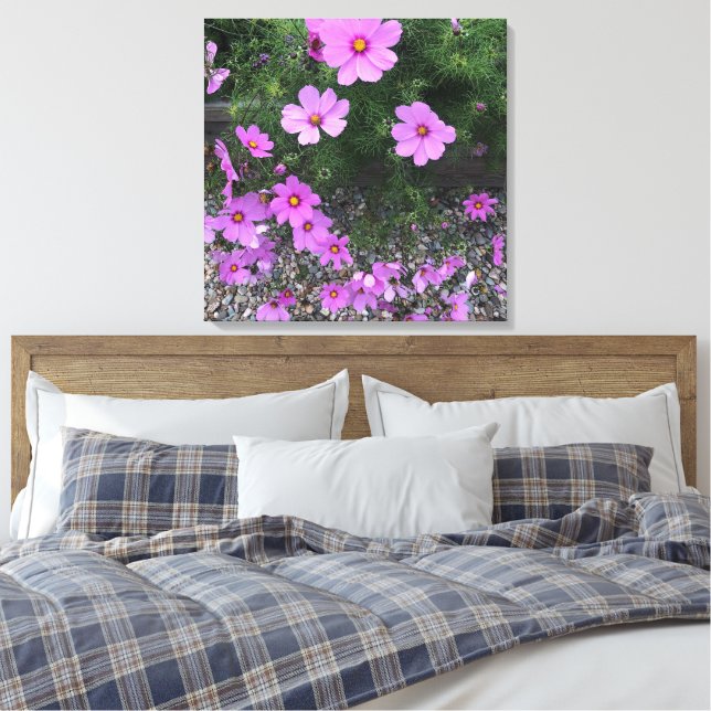 Kosmos-Blume mit Kies auf einem Leinwanddruck (Insitu (Schlafzimmer))