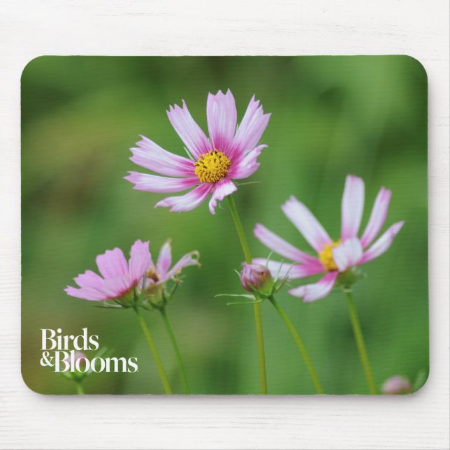 Kosmos-Blumen Mousepad (Vorne)