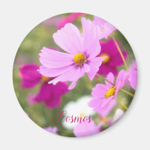 Kosmos [Circle Magnet] Magnet