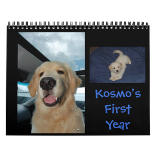 Kosmos erstes Jahr Kalender