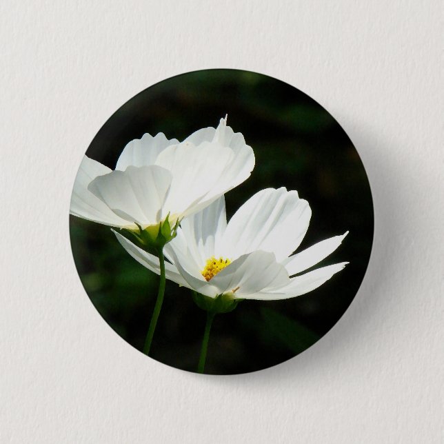 Kosmos-Gänseblümchen-Blumen Button (Vorderseite)