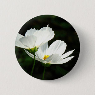 Kosmos-Gänseblümchen-Blumen Button