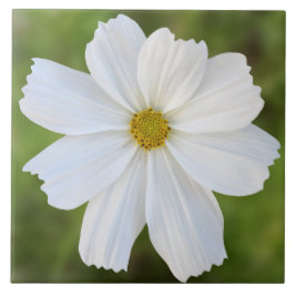 Kosmos-Keramik-Fliese Fliese