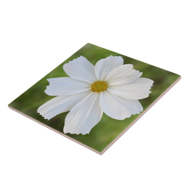 Kosmos-Keramik-Fliese Fliese (Seite)