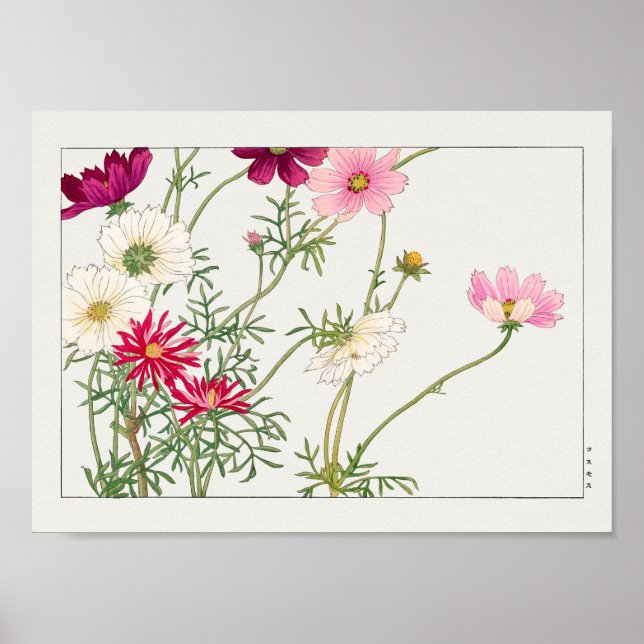 Kosmos von Tanigami Konan Poster (Vorne)