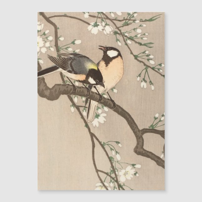 Koson Bird Chickadee Songbird Magnetkarte (Vorderseite)