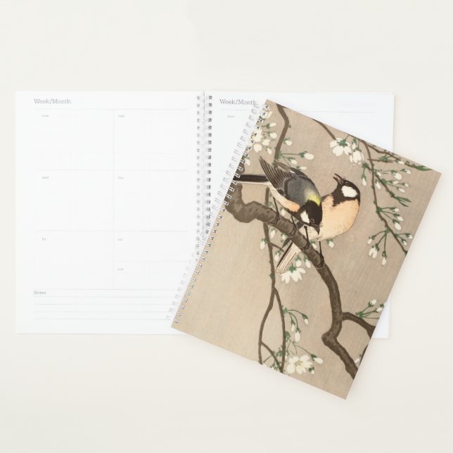 Koson Bird Chickadee Songbird Planer (Anzeige)