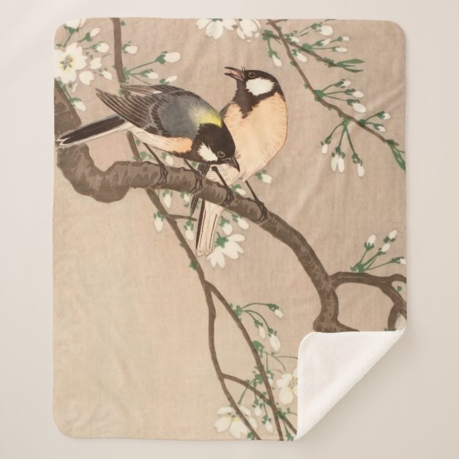 Koson Bird Chickadee Songbird Sherpadecke (Vorderseite)