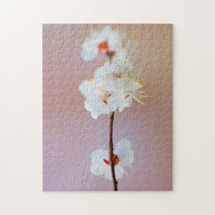 Kostbare japanische Aprikosenblüten im Frühjahr Puzzle