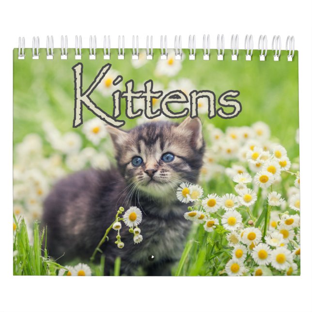 Kostbare Kätzchen & herzerwärmende Redewendungen W Kalender (Titelbild)