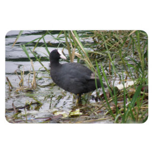 Kosten auf dem Riverbank Premium Magnet