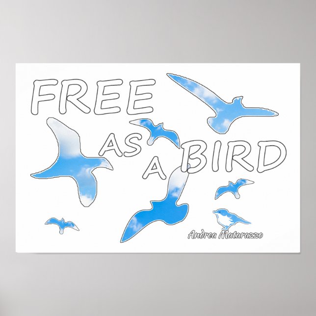Kostenlos als Vogel 2 Poster (Vorne)