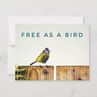 Kostenlos als Vogel-Postkarte Postkarte