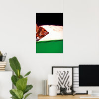 KOSTENLOSE PALESTINE-Flaggenkatze