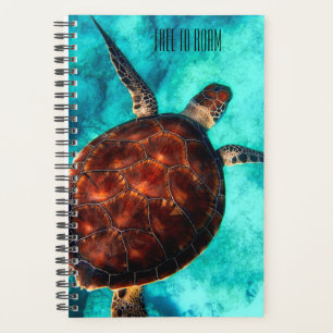 Kostenlose Roam Seaturtle Planer