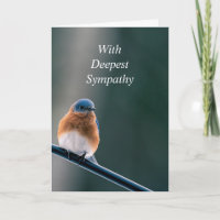 Kostenvoranschlag für Bluebird Garden Bird