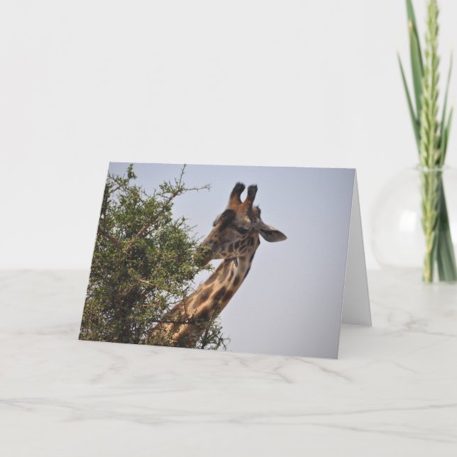 Köstlich Karte (Vorderseite)