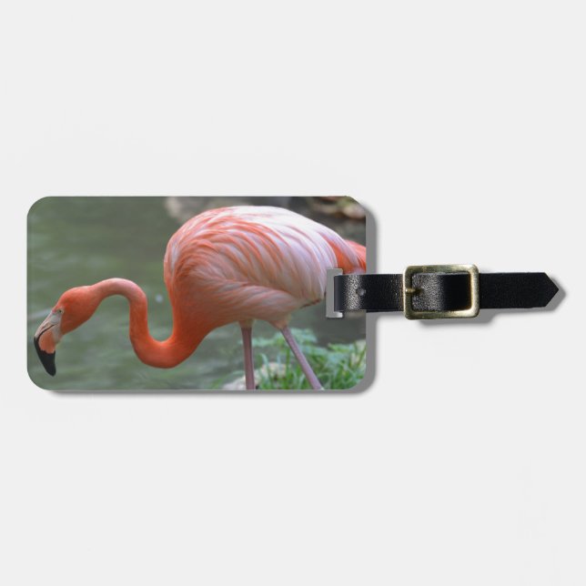 Köstlicher Flamingo Gepäckanhänger (Vorderseite horizontal)