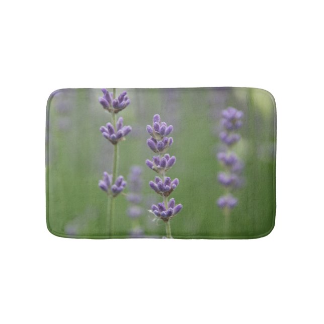 Köstlicher Lavendel-kleine Bad-Matten Badematte (Vorderseite)