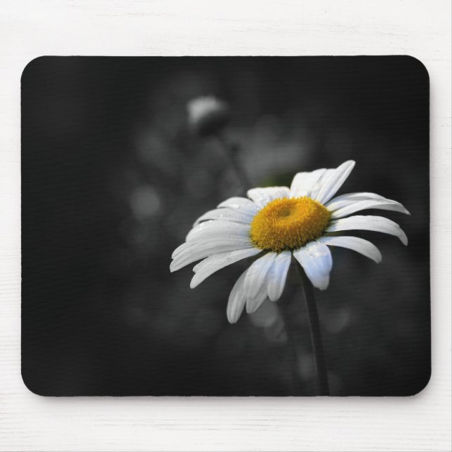 Köstliches Gänseblümchen Mousepad (Vorne)