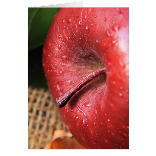 Köstliches Rot (Vorne)