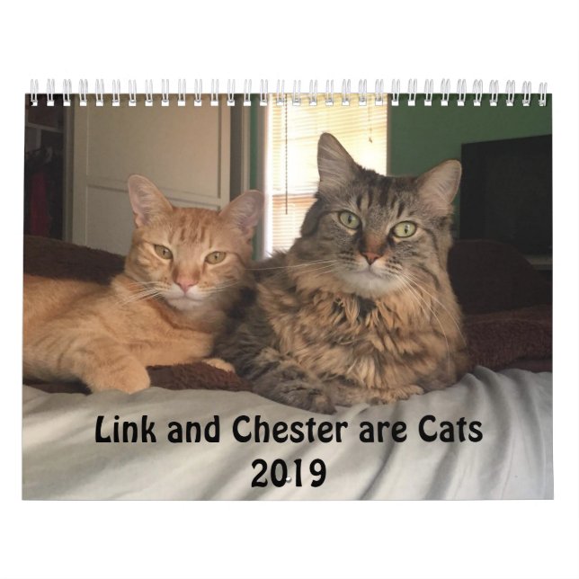 Kostümierter Kalender der Katzen-2019 (Titelbild)