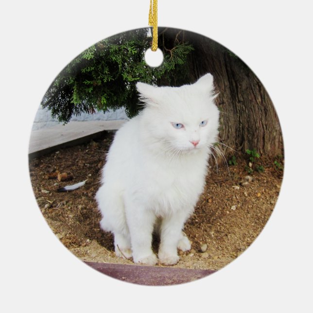 Kotzende Katze Keramik Ornament (Hinten)