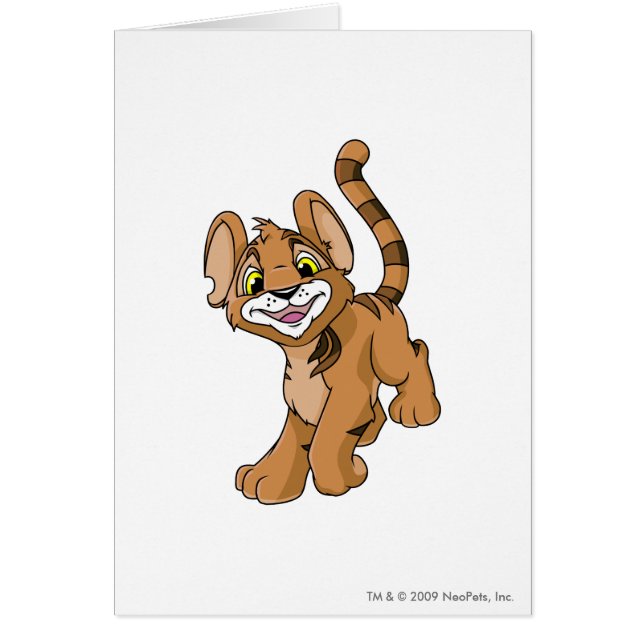 Kougra Brown (Vorne)