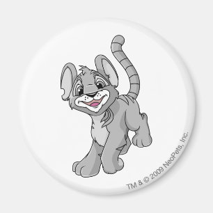 Kougra Silver Magnet