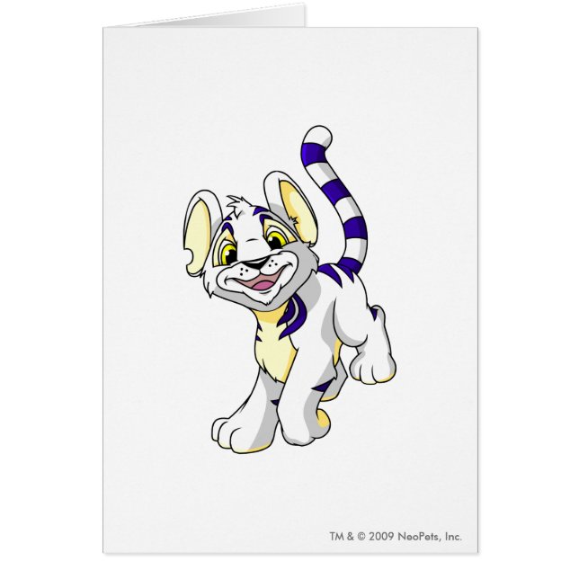 Kougra Weiß (Vorne)