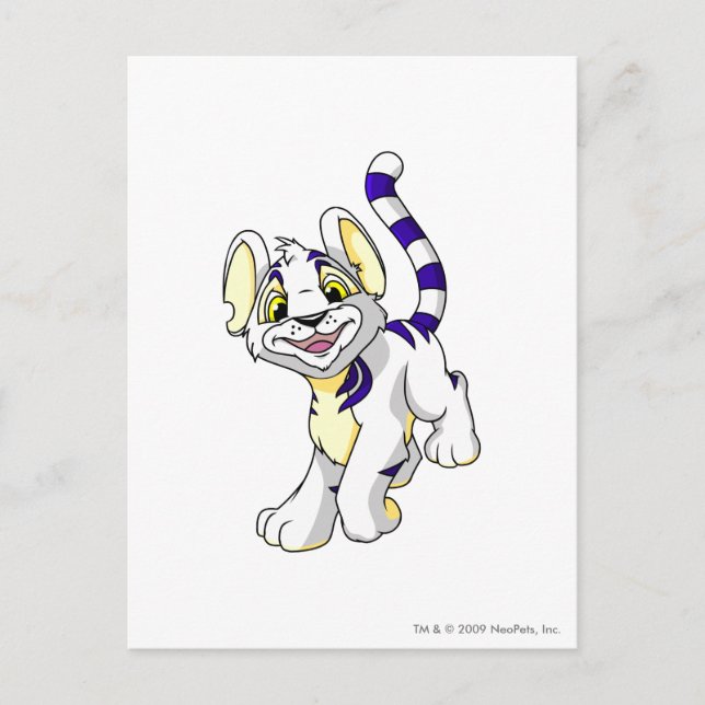 Kougra White Postkarte (Vorderseite)