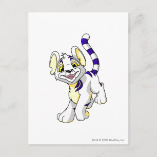 Kougra White Postkarte