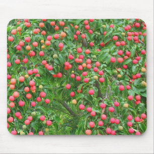 Kousa Dogwood Mousepad