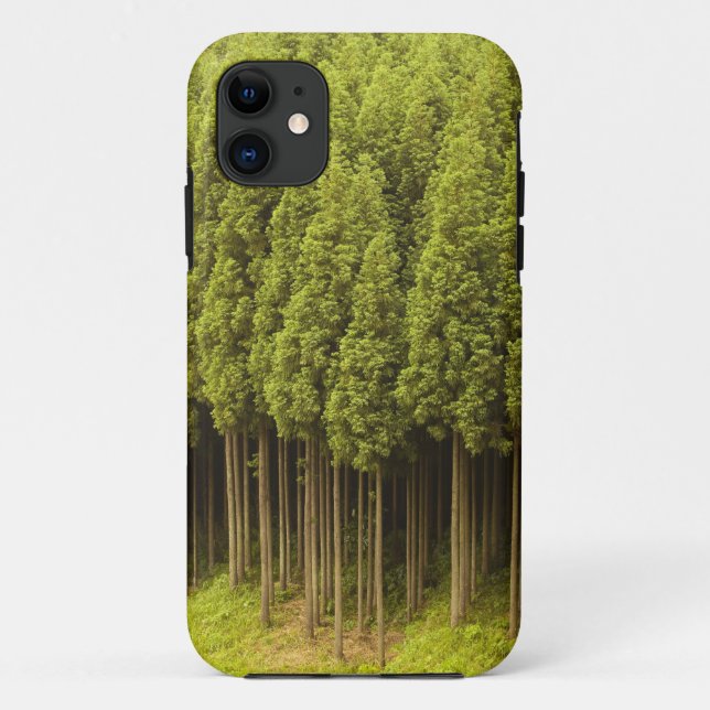 Koya Sugi Zedern-Bäume Case-Mate iPhone Hülle (Rückseite)