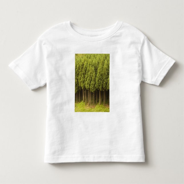 Koya Sugi Zedern-Bäume Kleinkind T-shirt (Vorderseite)