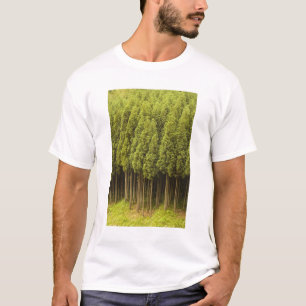 Koya Sugi Zedern-Bäume T-Shirt