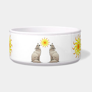 KOYOTES, DIE EINEN SOUTHWESTERSUN LEBENDEN NAPF