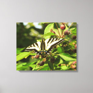 Krabapel und Schmetterling Leinwanddruck