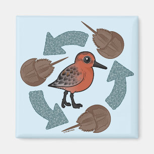 Krabbe-Knoten Zyklus Magnet