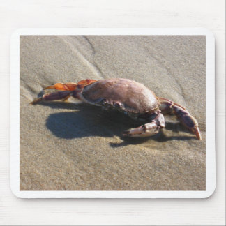 Krabbe, Küstenwache-Strand Mousepad