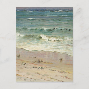 Krabben am Strand von D. Howard Hitchcock Postkarte