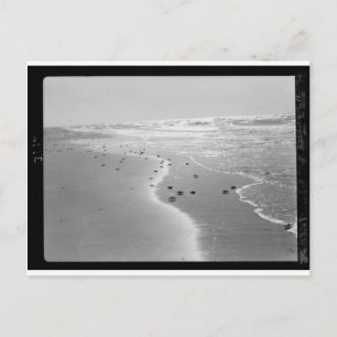 Krabben am Strand. Wadi Ghuzze 1920-1933.tif Postkarte