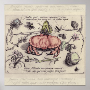 Krabben-Botanik-Insekt-Blumen-Illustration Poster