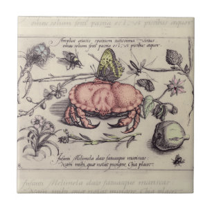 Krabben-Botanische-Insekten-Blumen-Illustration Fliese